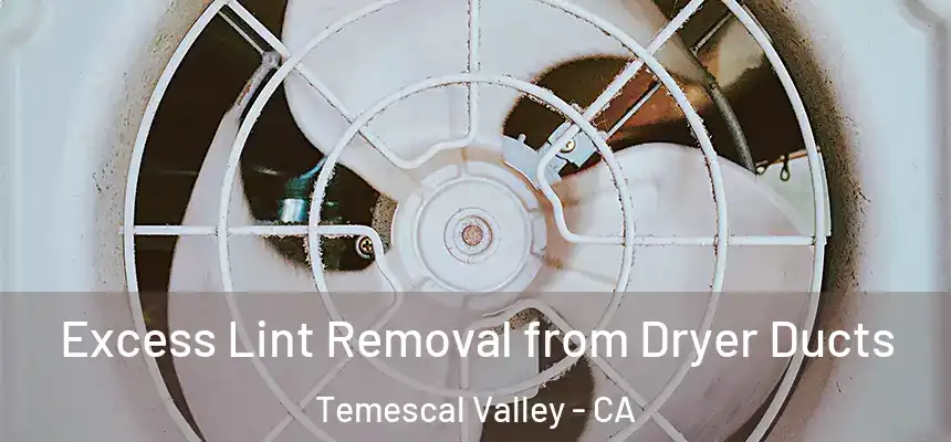 Excess Lint Removal from Dryer Ducts Temescal Valley - CA