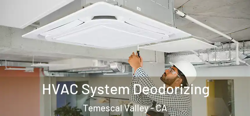  HVAC System Deodorizing Temescal Valley - CA