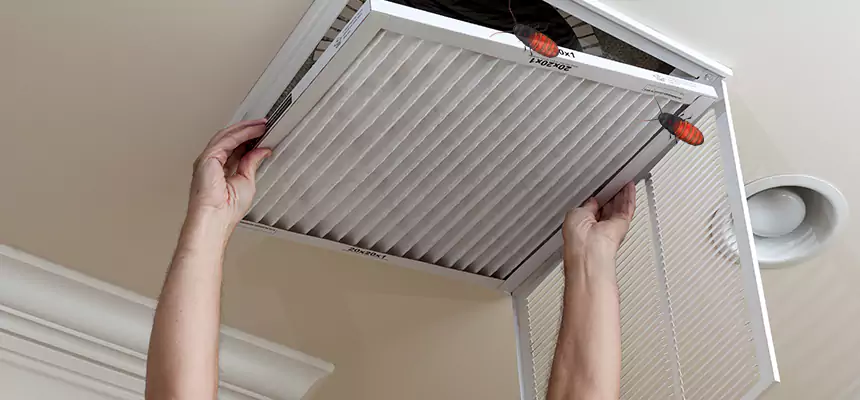 Preventive Cockroach-Proofing for Ducts in Temescal Valley