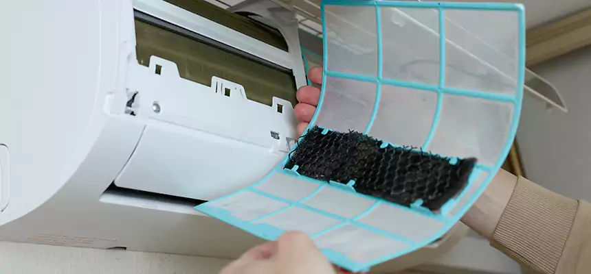 Gentle Ductwork Odor-Control Pet Dander Duct Cleaning in Temescal Valley, CA