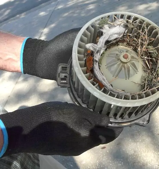 About Air Duct Rat Removal in Temescal Valley, CA