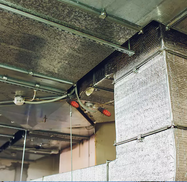 Why Homeowners & Businesses Trust Us in Temescal Valley, CA?