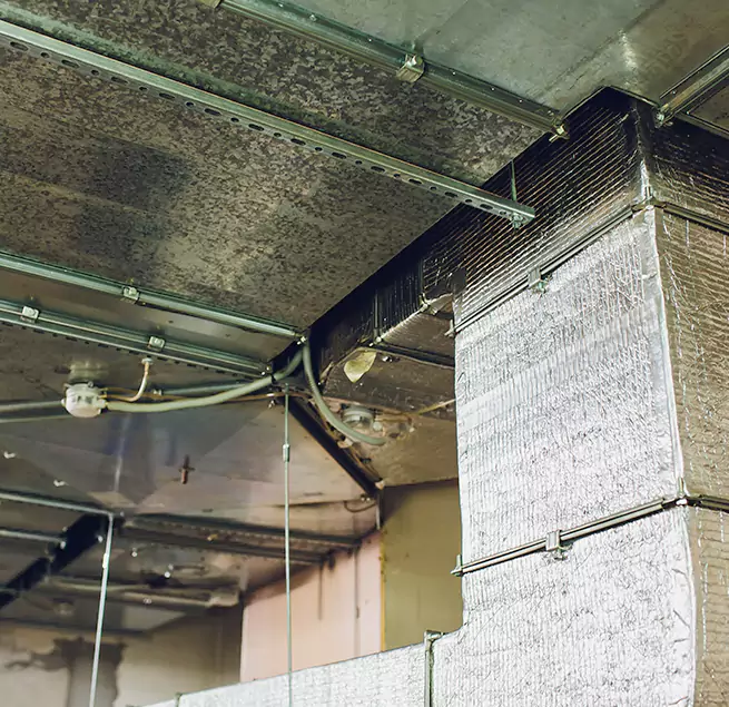 Why Homeowners & Businesses Trust Us in Temescal Valley, CA?